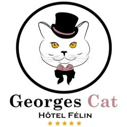 Georges Cat Orvault