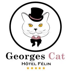 Georges Cat Toulouse-colomiers