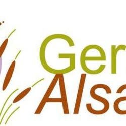 Germa Emploi