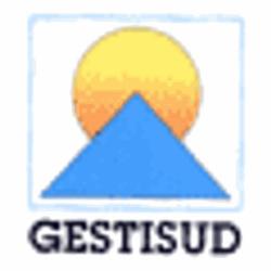 Gestisud Immobilier D'entreprise
