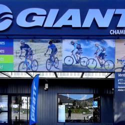 Giant