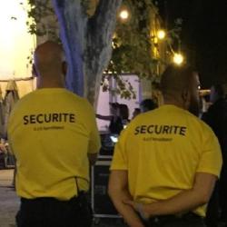 Gis Surveillance