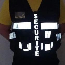 G.i.s Surveillance