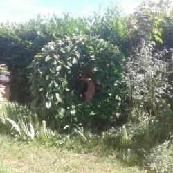 Gîte à La Campagne - Gîtes De France