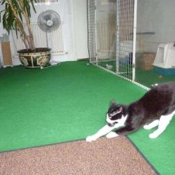 Gîte Animalier