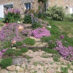 Gîte Au Jardin D'eden