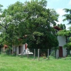 Gîte Belorria