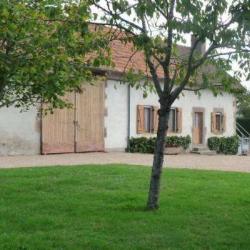 Gîte Chien Site