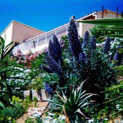 Gîte De Agaby Pelissier