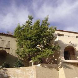 Gîte De France à Occhiatana