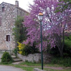 Gîte De France De Bisinao