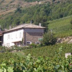 Gîte De Groupe Lagneau