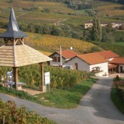 Gîte De L'artisan-vigneron