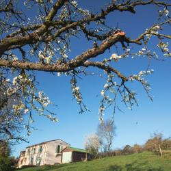 Gîte De Lascurades