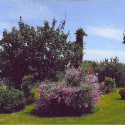 Gîte De Potensac
