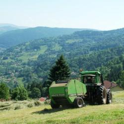 Gite Des Alisiers