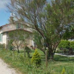Gîte Des Calinottes