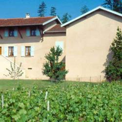 Gîte Du Cercillon à Fleurie