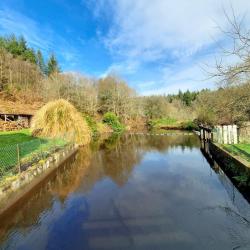Du Moulin Neuf - Gîtes De France