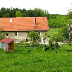 Gîte Et Table D'hôte A Combray