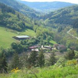 Gite Ferme De La Vieille Route