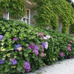 Gîte La Bergerie