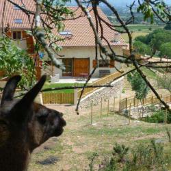 Gîte La Bruyère Aux Lamas