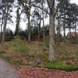 Gîte Le Bois De La Forge