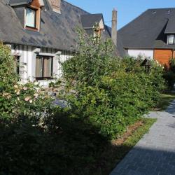 Gîte  Le Colvert