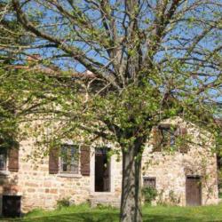 Gîte Le Paon De Réza