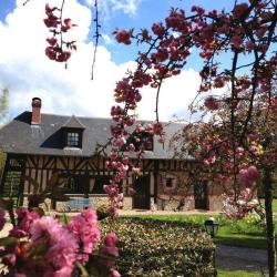 Gîte Le Pin