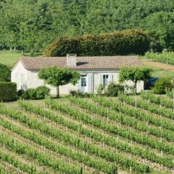 Gîte Les Grandes Vignes