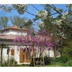 Gîte Pech De Bedel