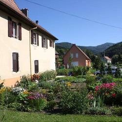 Gîte Rural Adrien Studer