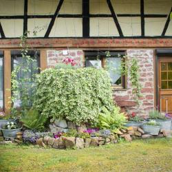 Gîte Rural Annick Fritsch