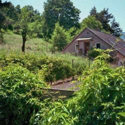 Gîte Rural Au Cerisier