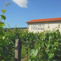 Gîte Rural Au Coeur Des Vignes
