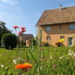 Gîte Rural Charles Muller
