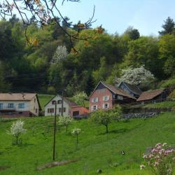 Gîte Rural Daniel Baumgart