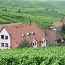 Gîte Rural Daniel Ziegler
