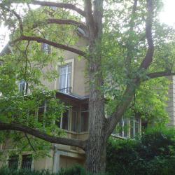 Gîte Rural La Maison D Elisa