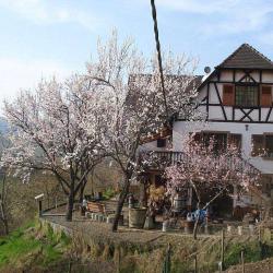 Gîte Rural Le Sonnenglantz
