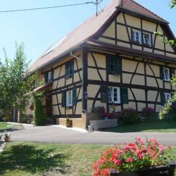 Gîte Rural Les Hortensias