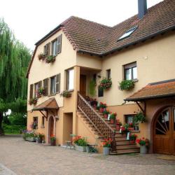 Gîte Rural Les Mirabelles