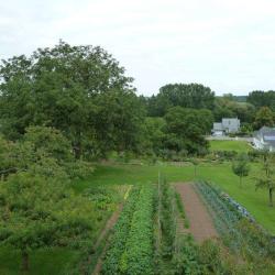 Gîte Rural Marguerite Schehrer