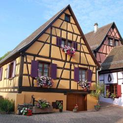 Gîte Rural Merle