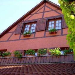 Gîte Rural S'harzala Vert