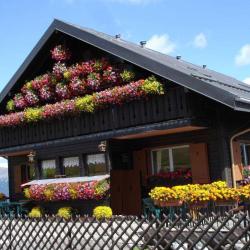 Gîte Le Schnepfenried