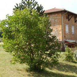 Gîte Saint-vincent