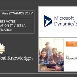 Global Knowledge Network France